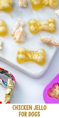 chicken jello for dogs is shown on a tray with the dog's food