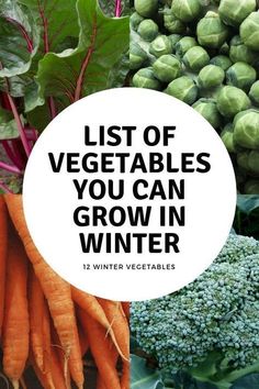 the list of vegetables you can grow in winter includes carrots, broccoli and cauliflower