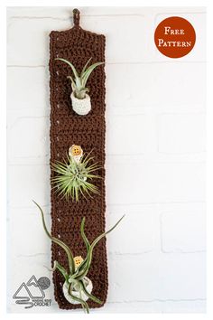 two air plants are hanging on the wall next to a crocheted planter