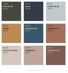 the color palettes for an interior paint scheme