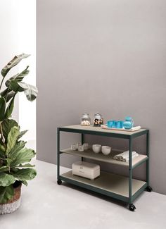 a green shelf next to a potted plant in a room with grey walls and white flooring