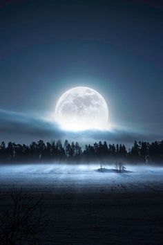 the full moon rising over a foggy field with trees in the foreground and dark sky