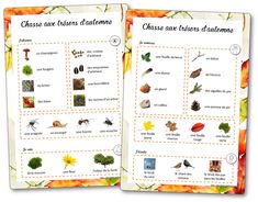 an open book with pictures of different plants and animals on it's pages, which are labeled in the following words