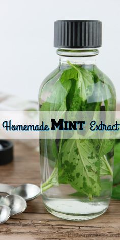 a glass jar filled with green leaves next to spoons