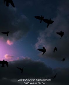 there are many birds flying in the sky at night with a quote written below them