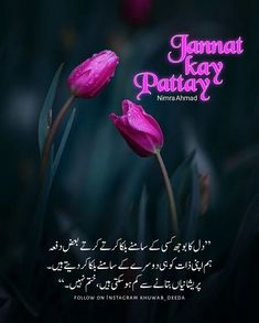 two pink flowers with the words nammat pattry written in english and arabic on it