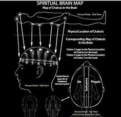 Brain Mapping, Universal Power, Human Brain, Human Mind, Nerve, Positive Vibes, Chakra, Physics, Spirituality