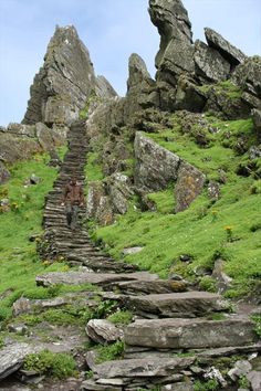 a person walking up some steps in the grass with rocks and plants on either side