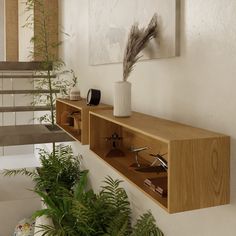 a plant is in a white vase on a wooden shelf next to some shelves with plants