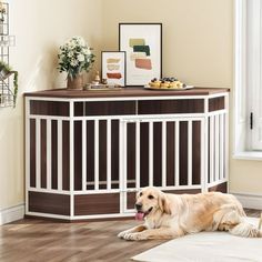 a dog laying on the floor in front of a white and brown pet gate next to a window