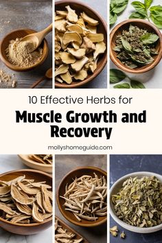 the top 10 effective herbs for muscle growth and recovery with pictures of different types of herbs in wooden bowls