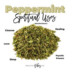 Product Name: Peppermint Product Description: Sold By The Scoops / Herbs Comes Loose in 3x4 in Bags Peppermint has a long history of uses in purification spells, healing potions and mixtures. Place by your pillow to induce sleep or placed beneath the pillow it sometimes offers the future in dreams. It can also be used in travel and money spells. Place a few leaves in your wallet or purse to encourage prosperity. Benefits: Purification, Sleep, Love, Healing, Psychic Powers Who should use this pro Witch's Apothecary, Peppermint Herb, Magical Food, Spiritual Products, Spiritual Shop, Herbal Health, Sleep Love, Magickal Herbs, Witch Herbs