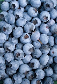 a bunch of blueberries sitting on top of each other