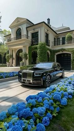 a black rolls royce parked in front of a house with blue hydrangeas around it