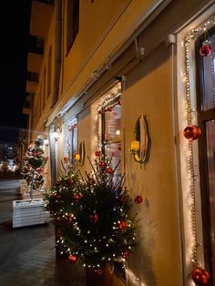 christmas lights are on the outside of a building in front of a potted plant