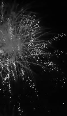 a black and white photo of fireworks in the night sky with no one around it