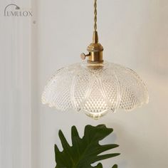 Create a retro ambiance with the Menkent Vintage Shaded Pendant Light. This 1-light hanging fixture is crafted with clear glass, adding a touch of elegance to any space. The antique finish on the metal frame complements the vintage design, adding a timeless appeal. Hang it above your dining table or in your living room to create a warm and inviting atmosphere. With its adjustable height, you can customize the lighting experience to suit your needs. This pendant light is perfect for those who appreciate a classic and sophisticated aesthetic. Illuminate your home with style and grace with the Menkent Vintage Shaded Pendant Light.Size: 5 to 9 Inch 10 to 14 Inch Fixture Width: 5" 6" 5.5" 8.5" 10" 8" 4.5" 6.5" Fixture Height: 5" 4.5" 2.5" 3.5" 5.5" 3" 7" 4" 6" 2" Bulb Included: No Number of Lig Modern Installation, Store Window, Hanging Fixture, Hanging Light Fixtures, Post Modern, Dining Room Living Room, Unique Lighting, Dining Room Lighting, Hotel Room