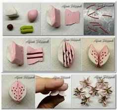 several pictures of different types of flowers and things to make them look like they are made out of clay