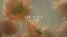 the words gucci bloom are above pink flowers