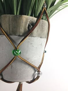 a potted plant with green glass beads and leather cord wrapped around the top, on a white background