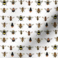 several bees are shown in different colors and sizes on a white background with black, brown, and yellow stripes