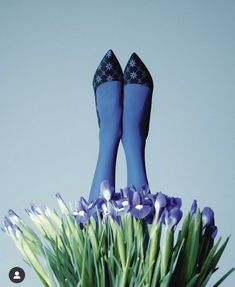 a pair of blue high heeled shoes sitting on top of purple flowers