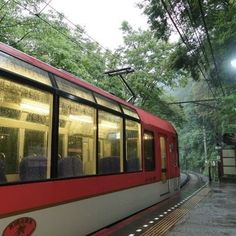 a red and white train traveling through a lush green forest next to a light pole