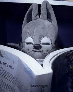 a stuffed animal wearing glasses reading a book