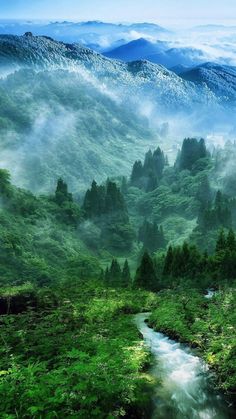 a river running through a lush green forest filled with trees and mist covered mountains in the distance