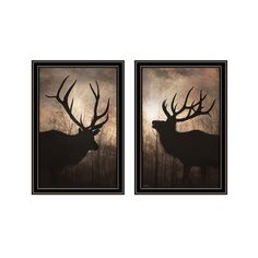 Elk at Sunrise by Lori Deiter. Vignette of (2-14"x20") framed beautiful portrait images of Elk to hang in your den. This wall decor item features decorative frames. Decorative Frames, Portrait Images, Trendy Decor, Visual Artwork, Frame Decor, Online Art Store, Wall Art Living Room, Wood Colors, Framed Wall