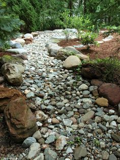 a rocky path in the middle of a forest