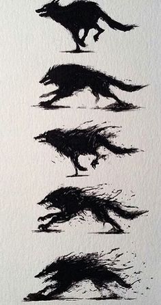 four black and white drawings of animals running in different directions, each with an animal's tail