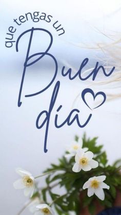 there is a plant with white flowers in the pot and words on it that say, one tengas u buen dua