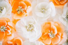 orange and white flowers are arranged together