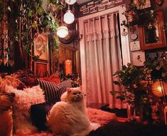 a cat sitting on top of a pile of pillows in a living room filled with plants