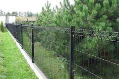 a black fence is next to some trees