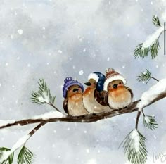 three birds are sitting on a branch in the snow, wearing hats and scarfs