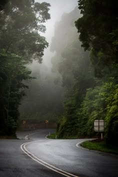 an empty road surrounded by trees on a foggy day