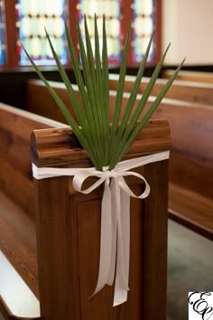 a wooden bench with a plant in the middle and a ribbon tied around it's edge