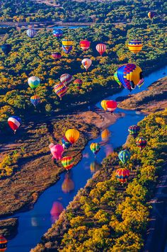 many hot air balloons flying in the sky over a river and forest filled with trees