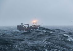 a boat in the ocean on a foggy day with seagulls flying around