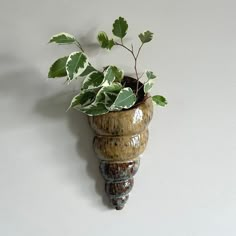 a potted plant is hanging on the wall