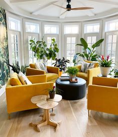 a living room filled with yellow couches and potted plants