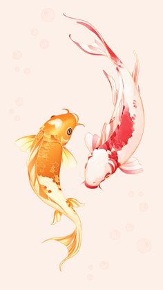 two koi fish in the water with bubbles on it's sides, one gold and