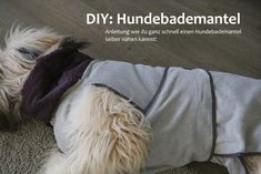 a white dog wearing a gray shirt and black pants with the words diy hundebademantel on it's chest