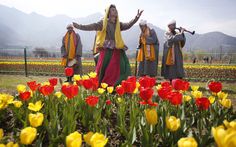 a group of people standing in a field with tulips and other colorful flowers