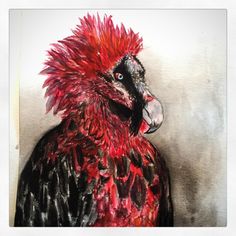 a painting of a red and black bird with feathers on it's head is shown