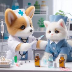 two stuffed animals dressed up as doctors and nurse's cats, one holding a syringe