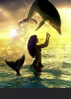 a woman standing in the water next to two dolphins