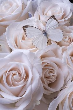 a white butterfly sitting on top of some pink rose's in the middle of a bouquet